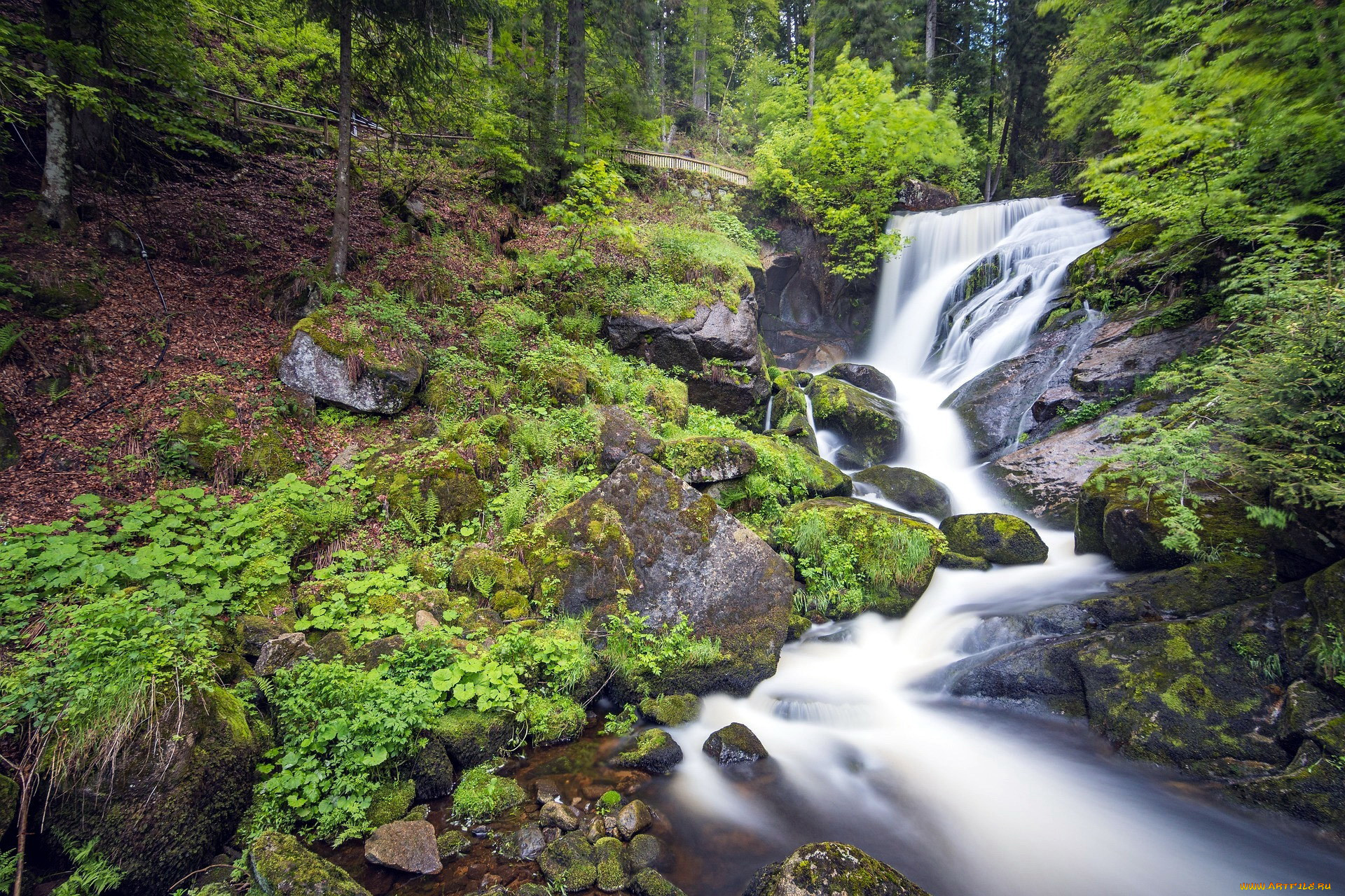 triberger waterfall, germany, , , triberger, waterfall